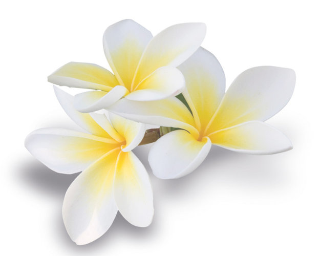 Масло баттер Моной (Тиаре) опт